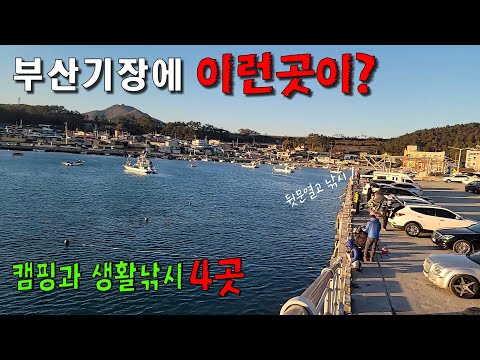 전노캠#26 부산기장 생활낚시 포인트4곳 1탄