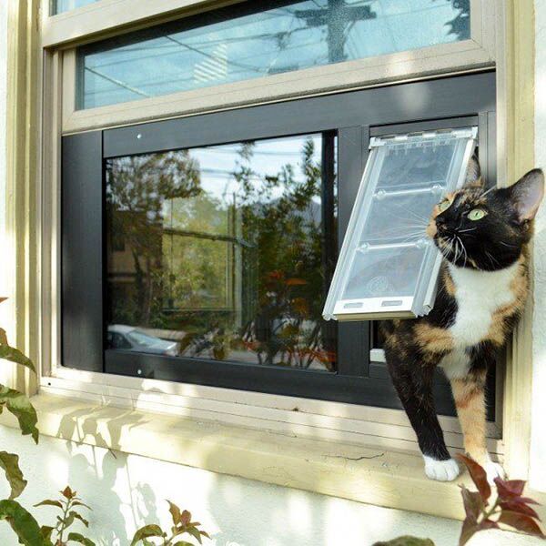 Best Cat Door For Windows - Durable Cat Flap Window Inserts