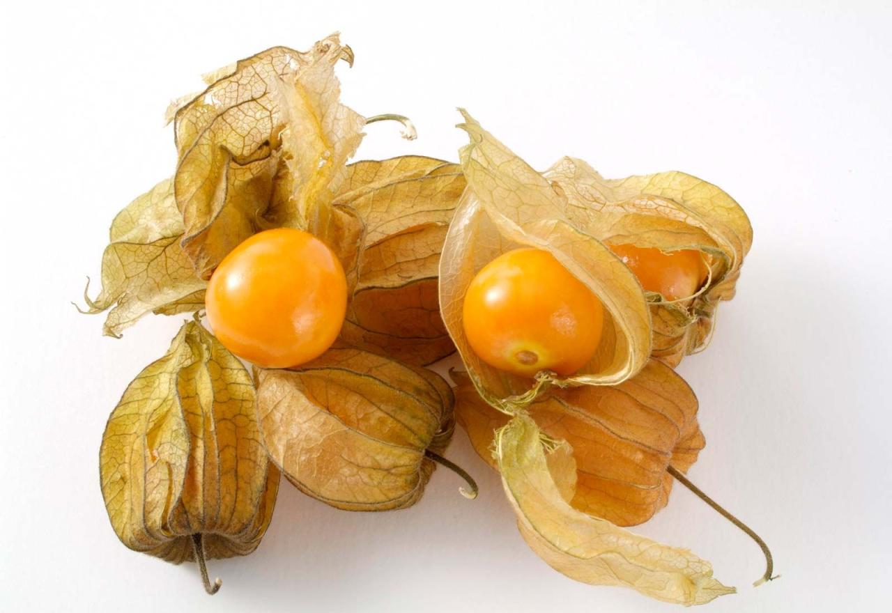 Cape Gooseberry | Description, Benefits, Fruit, Uses, & Flavor | Britannica