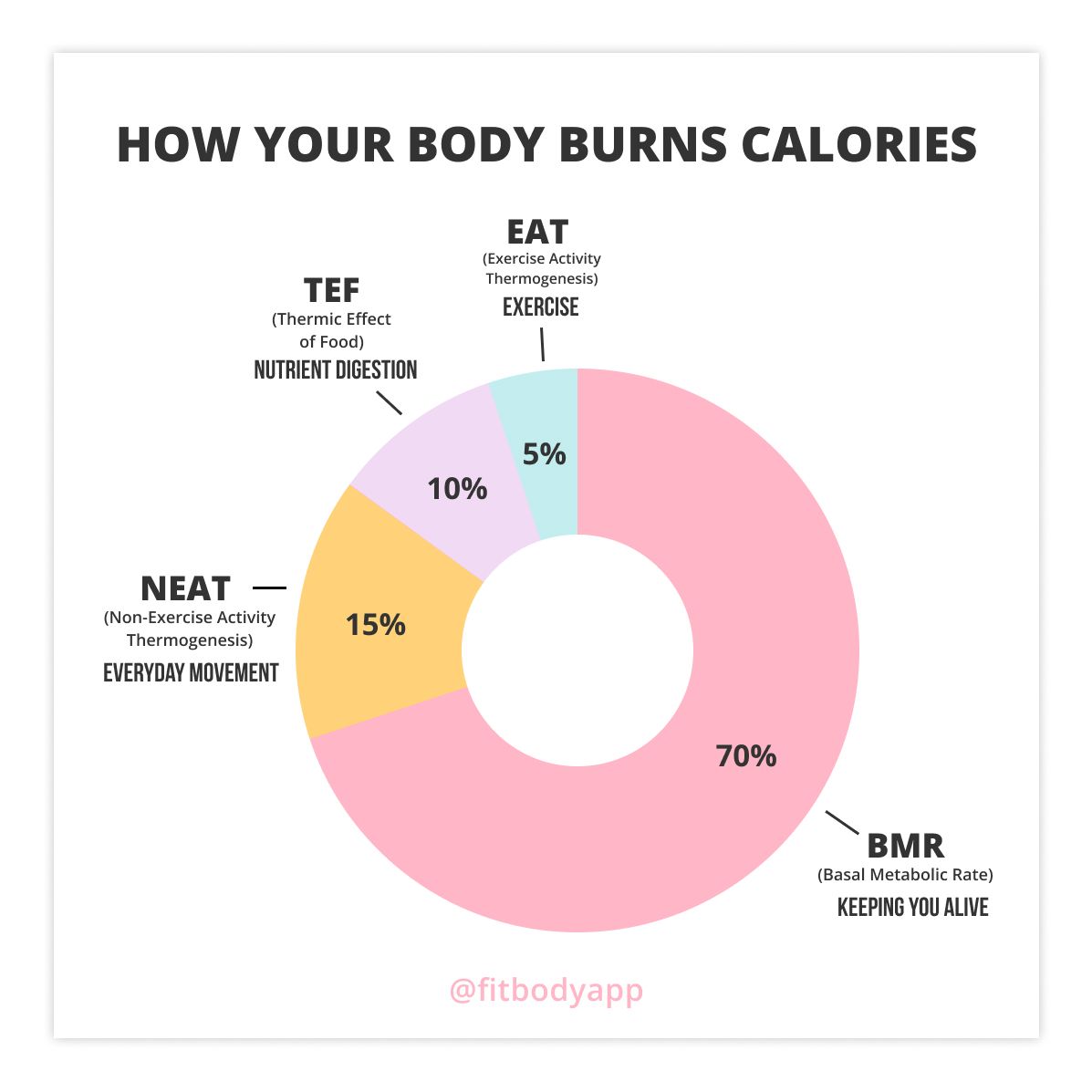 How Many Calories Do You Actually Need? | Vitalura Labs