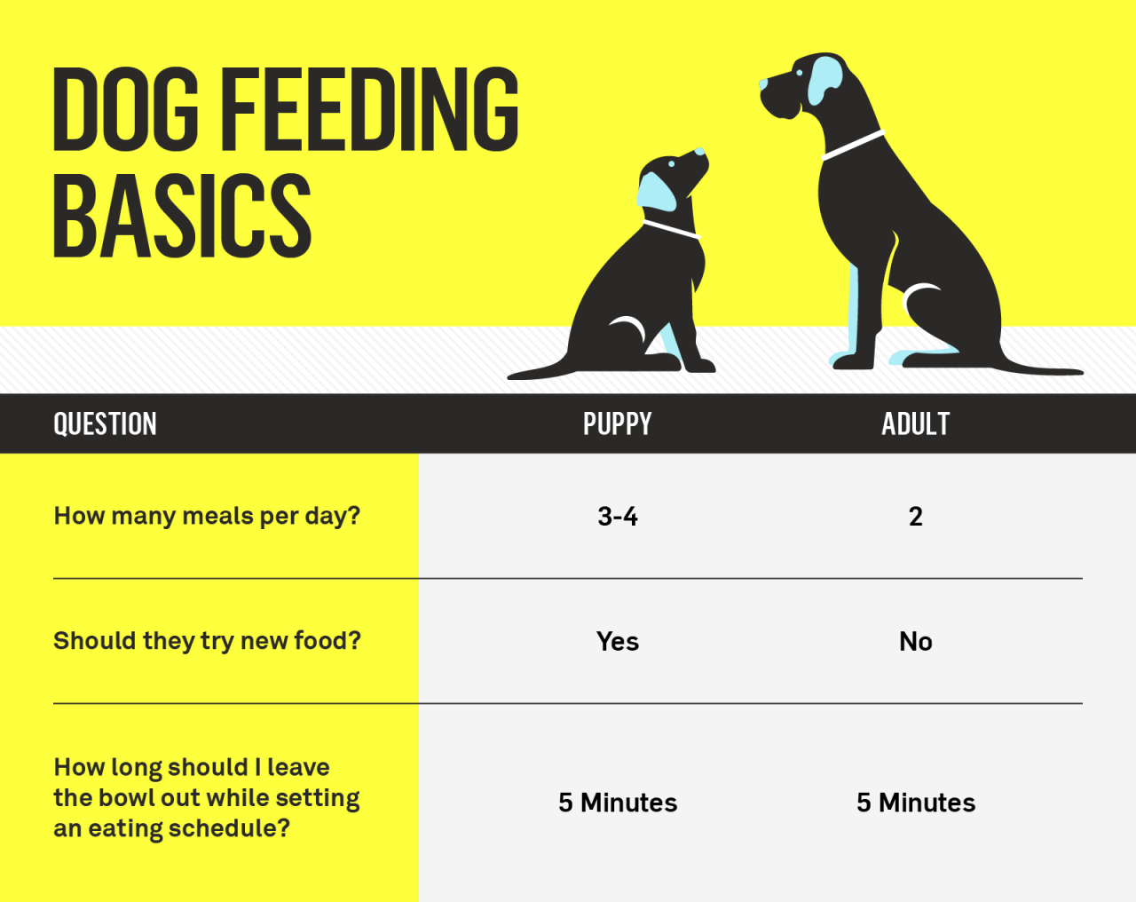 How Much Should I Feed My Dog? Your Dog'S Complete Nutrition Guide | Gallant