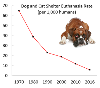 The Puzzling Geography Of Animal Shelter Dog Euthanasia | Psychology Today