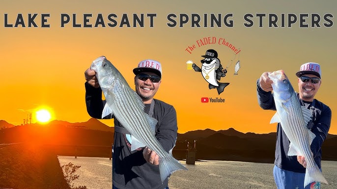 Lake Pleasant Az - Tips For Shore Fishing! (Underwater Footage And Catch &  Cook) - Youtube