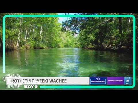 Environmentalist: Better enforcement on Weeki Wachee River could have saved taxpayers millions of do