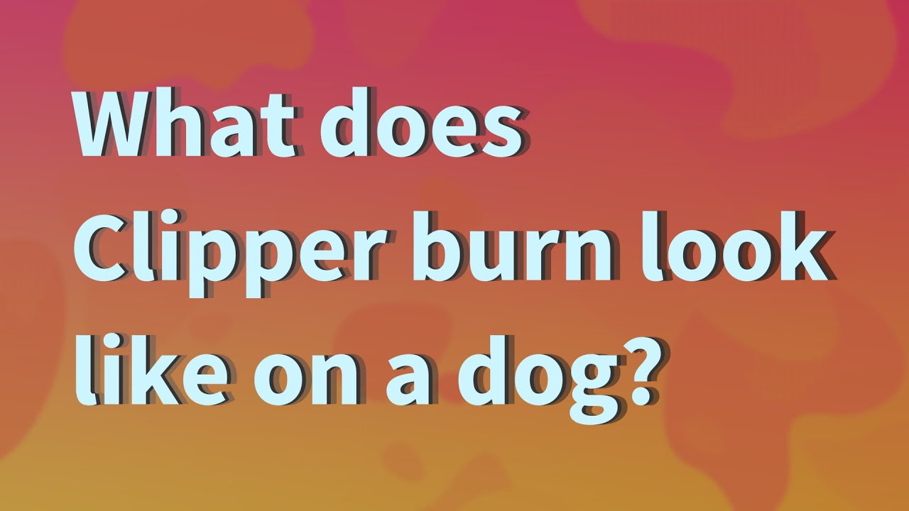 What Does Clipper Burn Look Like On A Dog? - Youtube