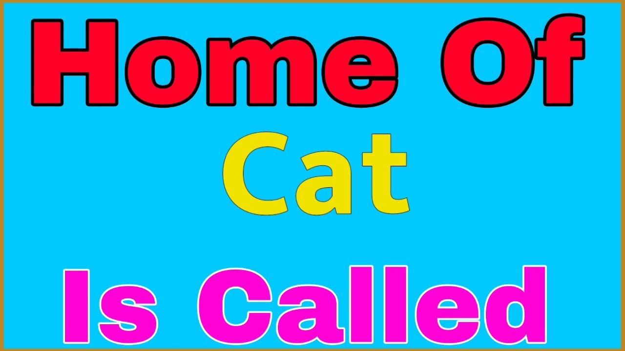 Home Of Cat Is Called | Cat Home Name | Cat House Name - Youtube