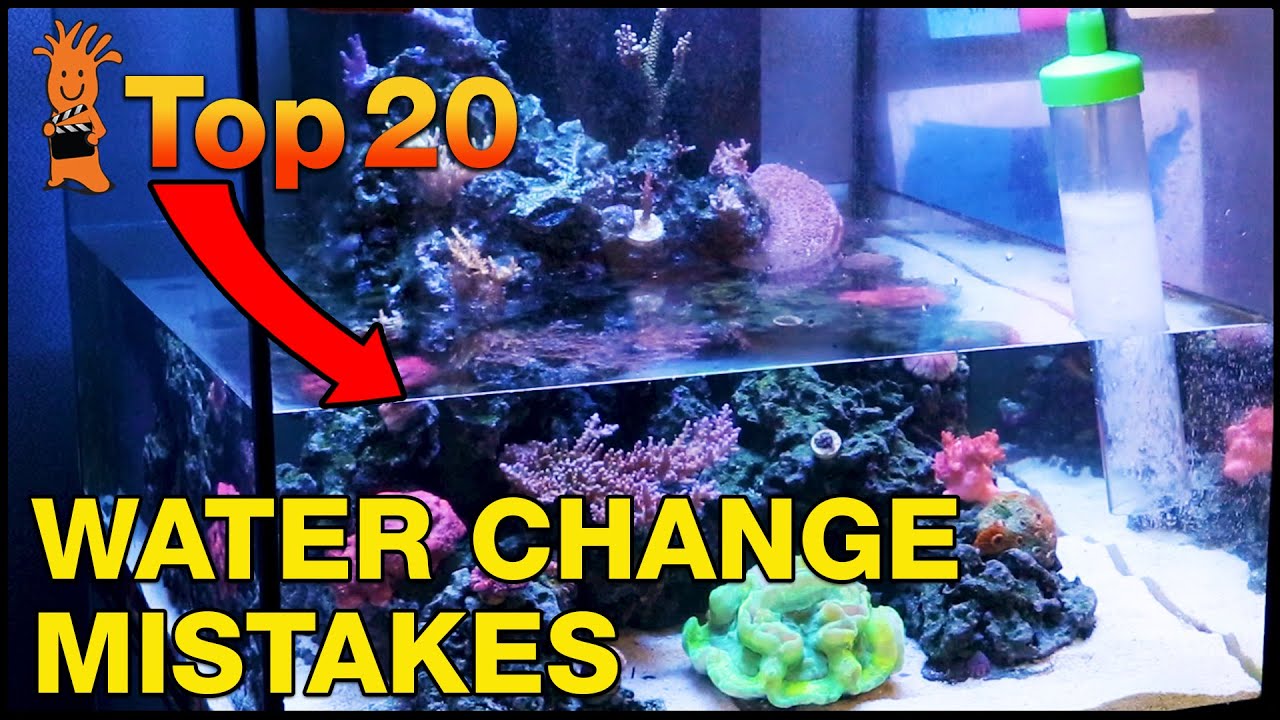 Water Change Mistakes To Avoid For An Awesome Reef Tank. No Really, Don'T Do  This! - Youtube