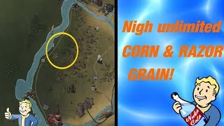 Easy Razorgrain & Corn | Nukashine Ingredients | Fallout 76 - Youtube