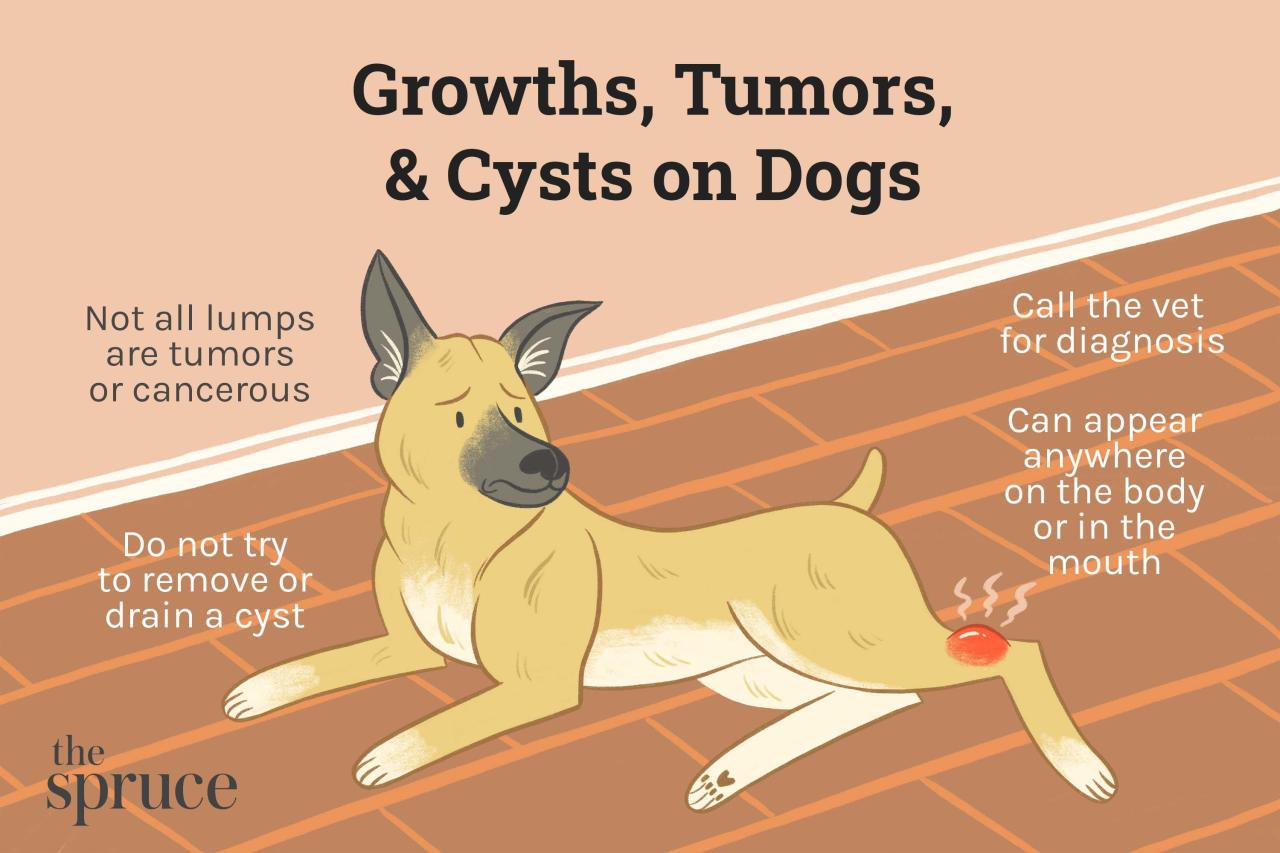 Tumors, Growths, And Cysts In Dogs