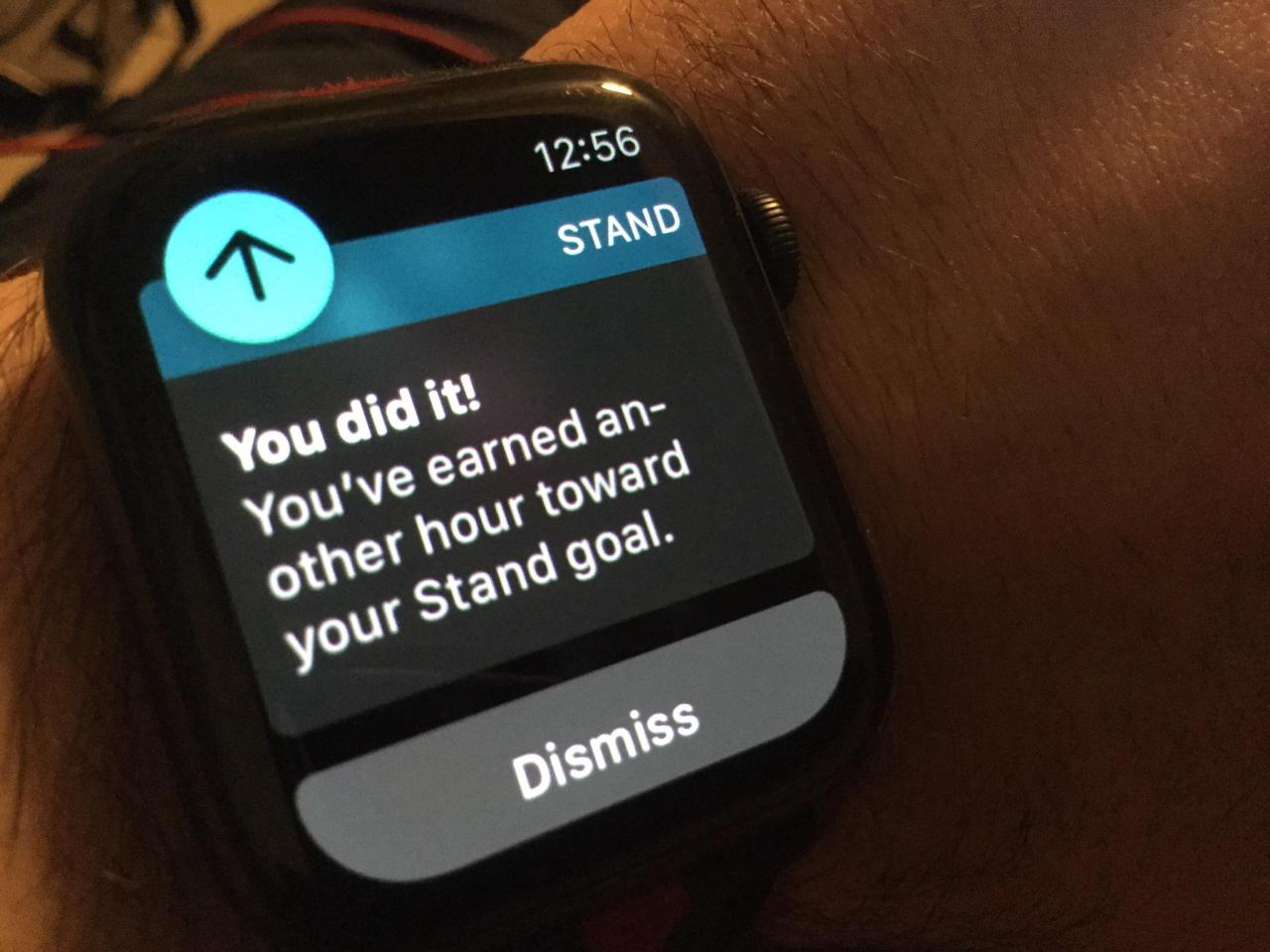 Earned A Standing Hour While Sitting Down : R/Applewatch