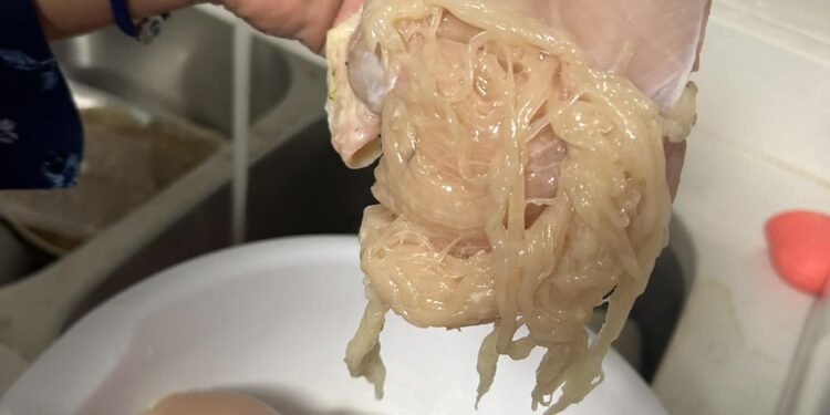 Photo of chicken breast that shreds into spaghetti